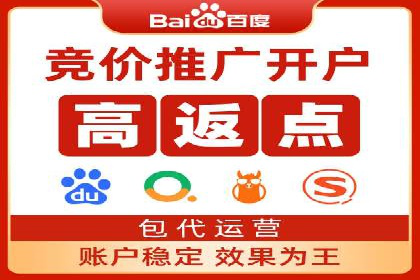 百度竞价代运营公司成功案例分析
